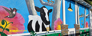 Cow Mural 2021